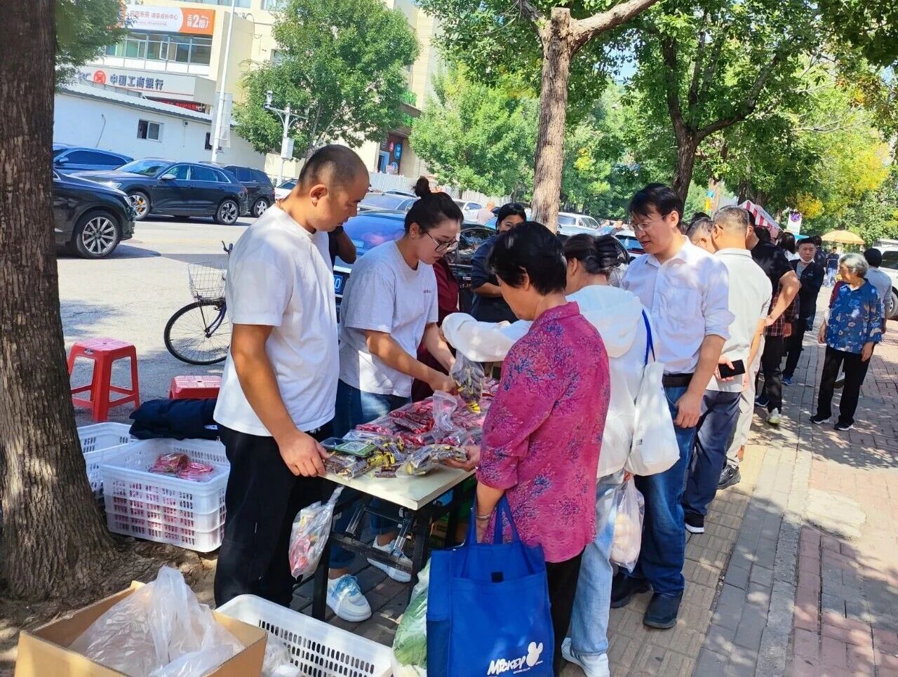 微信图片_2025-10-15_163550_063.png
